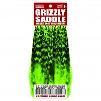 5-6'' STRUNG ROOSTER SADDLE GRIZZLY