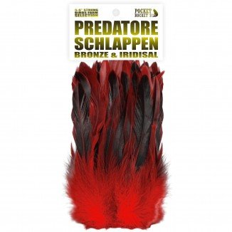 5-6'' PREDATORE BRONZE & IRIDISAL SCHLAPPEN