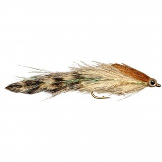 JUVENILE GRIZZLY STREAMER