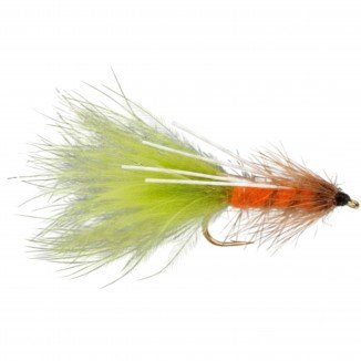 BICHON FLY OLIVE / ORANGE