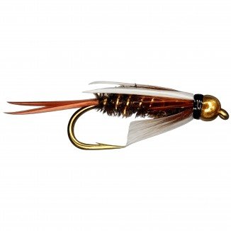 BH PRINCE NYMPH