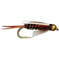 BH PRINCE NYMPH