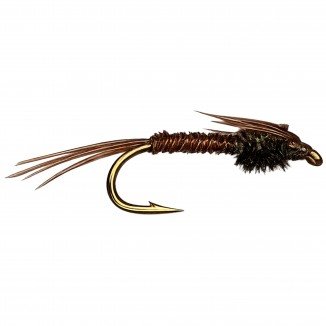 PHEASN'T TAIL NATURAL