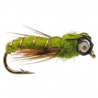 OLIVE DRAGON NYMPH