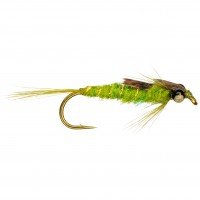 OLIVE DAMSEL NYMPH