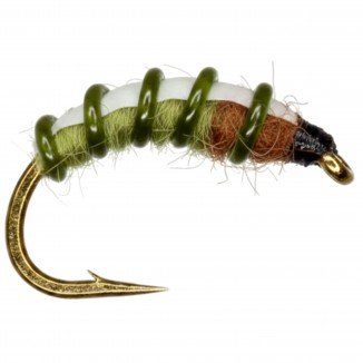 OLIVE CADDIS LARVA RYCOPHYLA