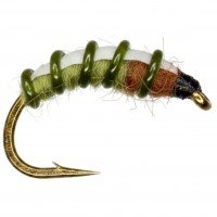 OLIVE CADDIS LARVA RYCOPHYLA