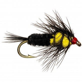MONTANA NYMPH