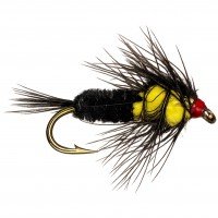 MONTANA NYMPH
