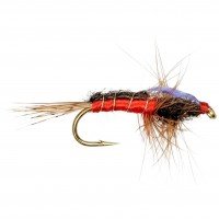 CARROT NYMPH