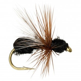 FLYING ANT BLACK