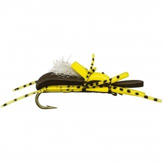FAT ALBERT YELLOW / BROWN