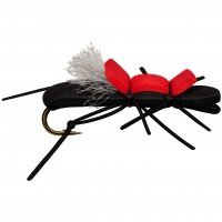 FAT ALBERT BLACK / RED