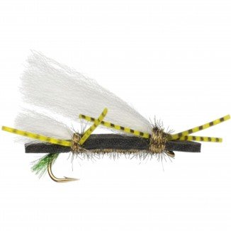 CHUBBY CHERNOBYL PEACOCK /...