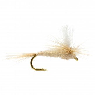 LIGHT CAHILL PARACHUTE