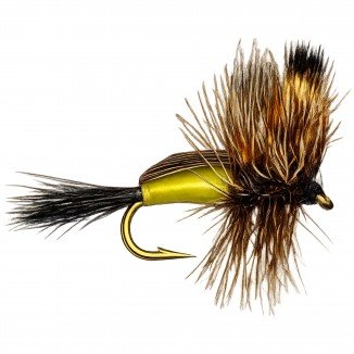 HUMPY YELLOW