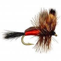 HUMPY RED
