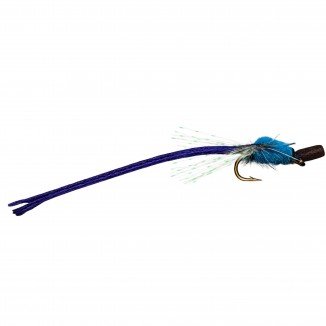 DAMSEL PARA-WING BLUE