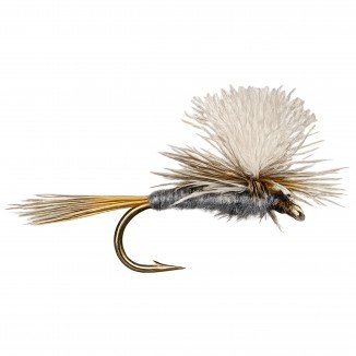 ADAMS PARACHUTTE WHITE