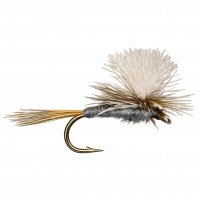 ADAMS PARACHUTTE WHITE