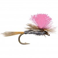 ADAMS PARACHUTTE PINK